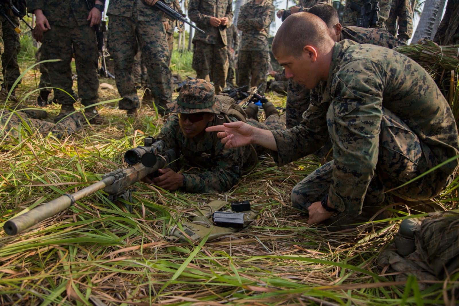 Marine scout sniper explaining the functions of a suppressed M110 to a fellow Marine in tall grass